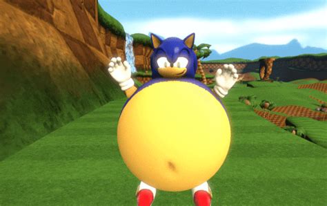 sonic inflation rule 34|I can't believe Sonic Inflation is an actual economic term  .